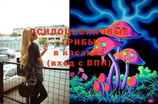 ешки Алексин