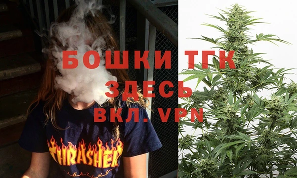 индика Алексеевка