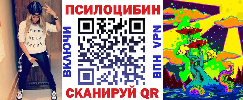 Галлюциногенные грибы MAGIC MUSHROOMS  закладки  Новороссийск 
