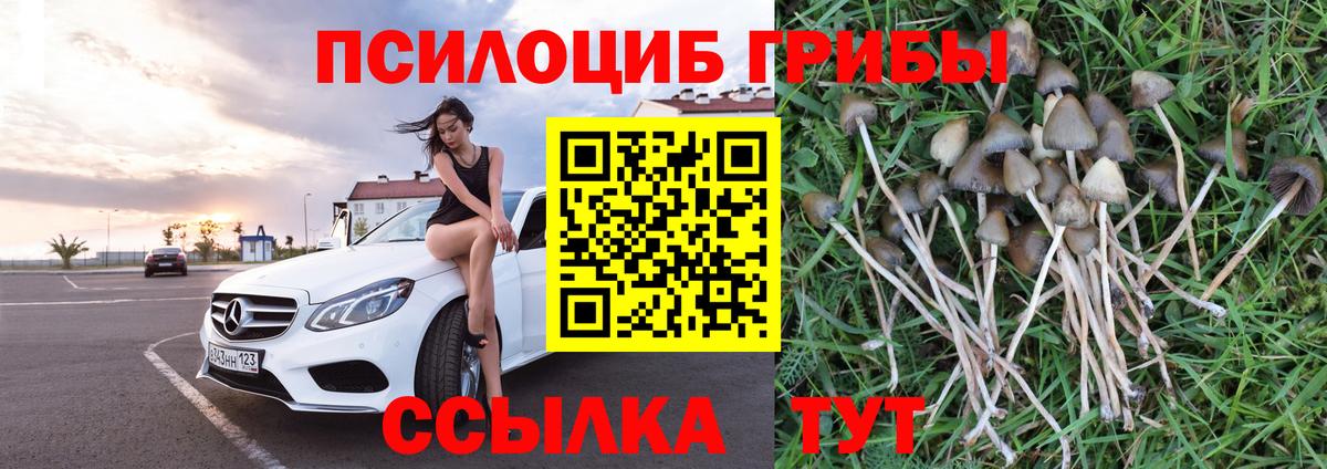 Новороссийск  Псилоцибиновые грибы Psilocybe  Псилоцибиновые грибы MAGIC MUSHROOMS  Вход с VPN 