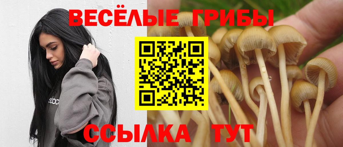 Галлюциногенные грибы GOLDEN TEACHER Новороссийск