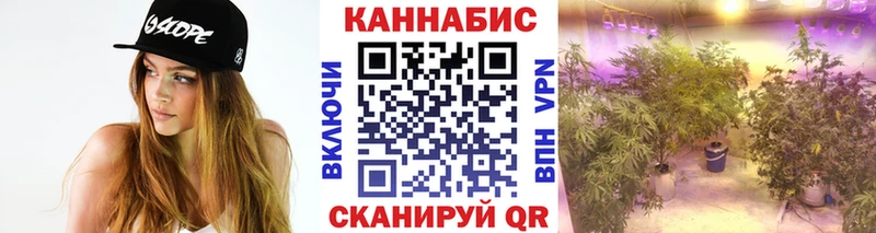 Бошки Шишки OG Kush  OMG ТОР  Новороссийск 